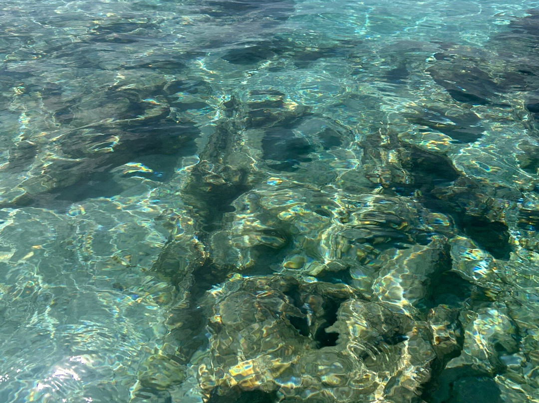 Te Amo Beach-Kralendijk必去景点
