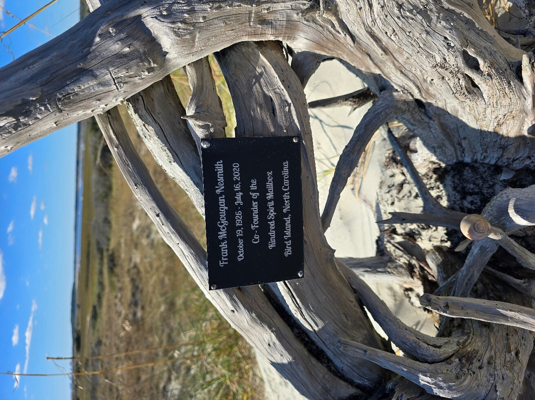 Kindred Spirit Mailbox景点图片