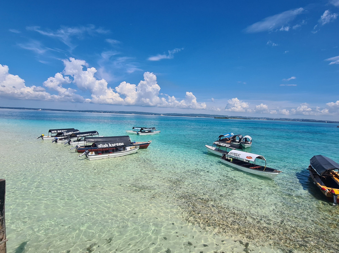 Zanzibar Ibrahim Tours景点图片