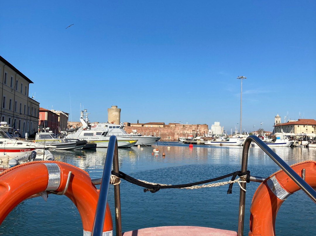 Livorno in Battello景点图片