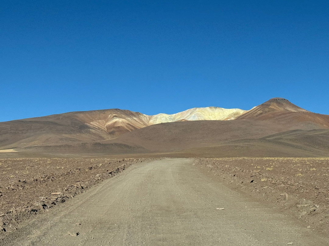 Eduardo Avaroa National Reserve of Andean Fauna景点图片