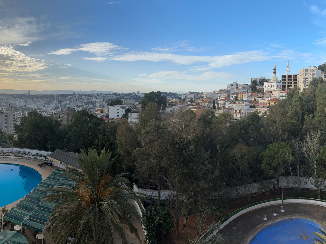 El Aurassi Hotel主图