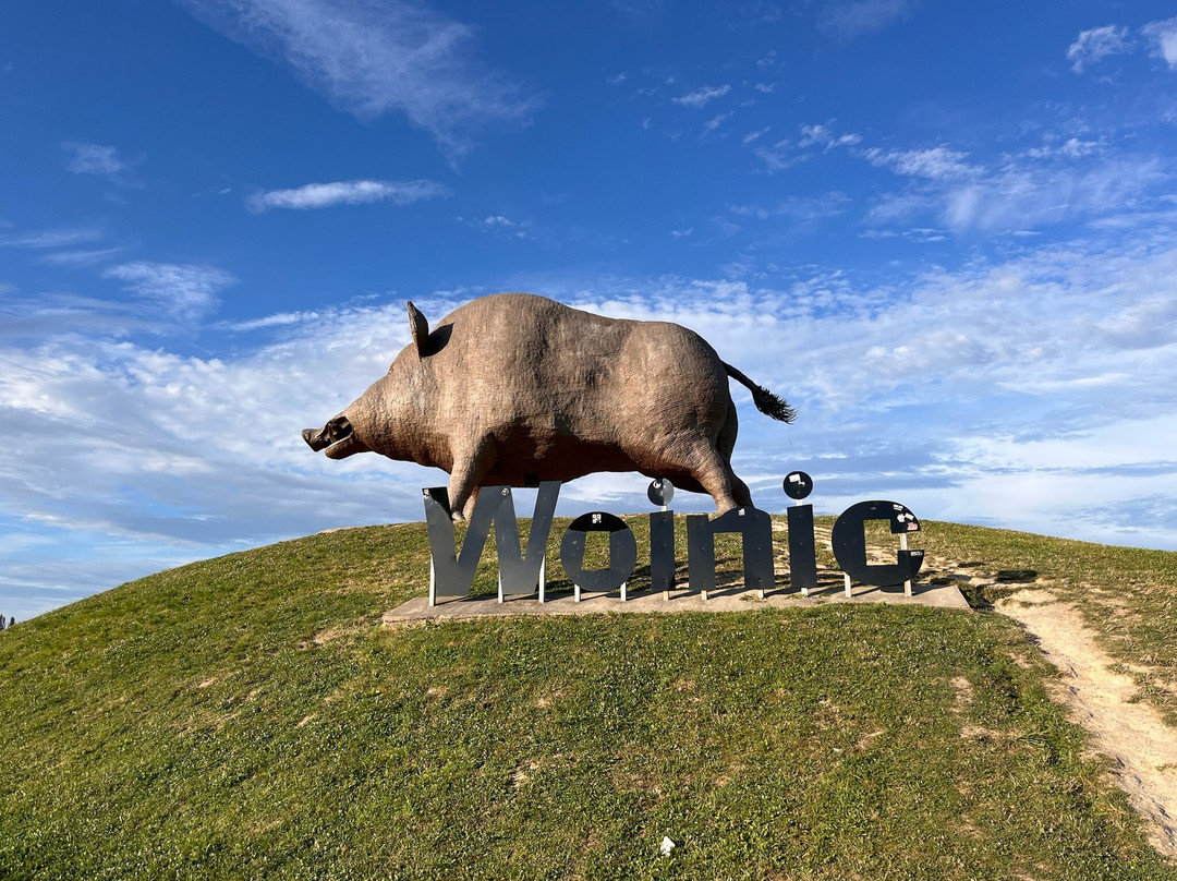 Woinic-Saulces-Monclin必去景点