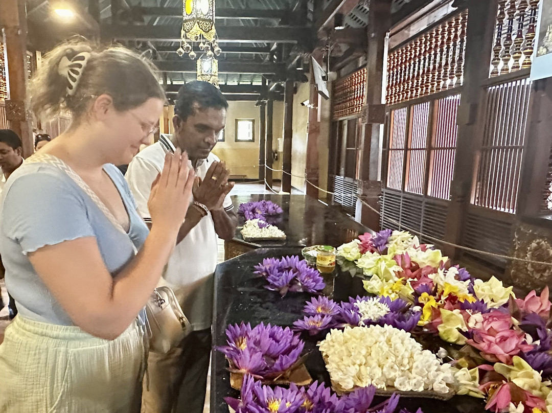 Ayubowan Travels & Tours-Hambantota必去景点