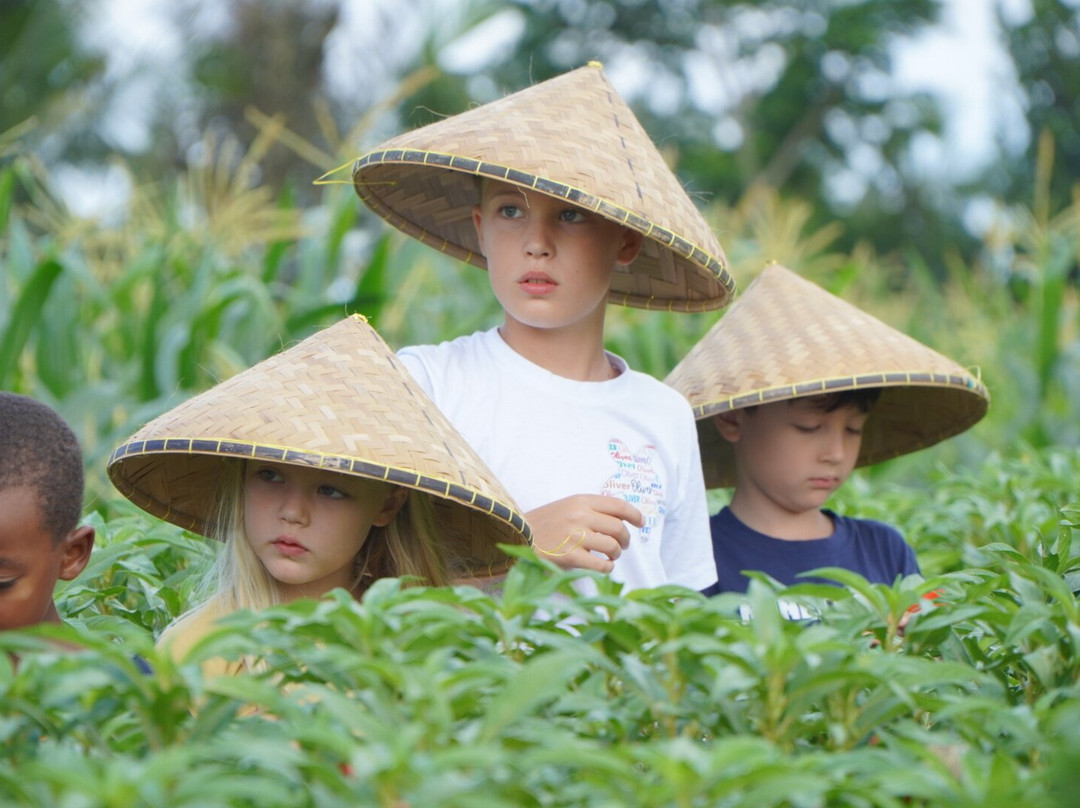 Bali Agritours景点图片