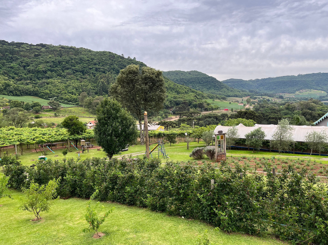 Casa Sander-Nova Petropolis必去景点