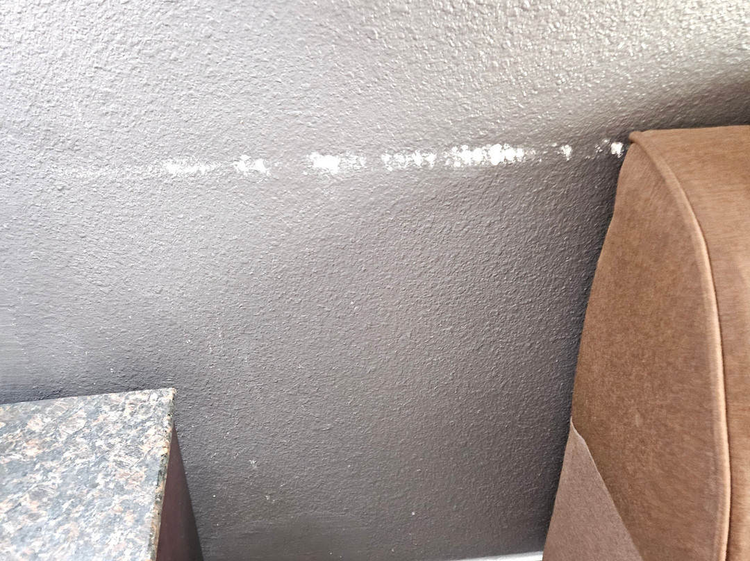 Lone Star Inn & Suites主图