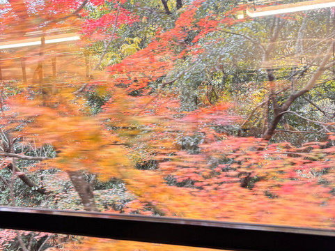 睿山电车红叶隧道-京都市必去景点