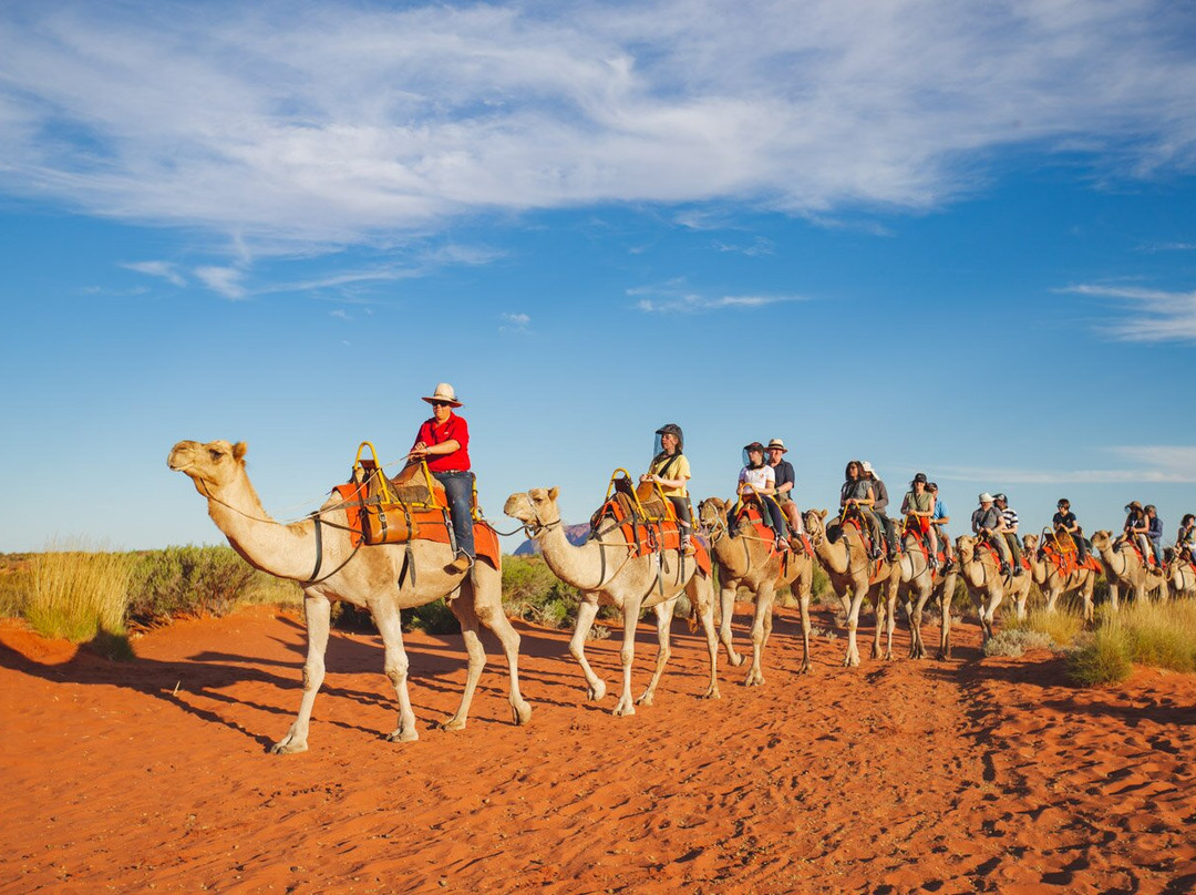 Uluru Camel Tours景点图片