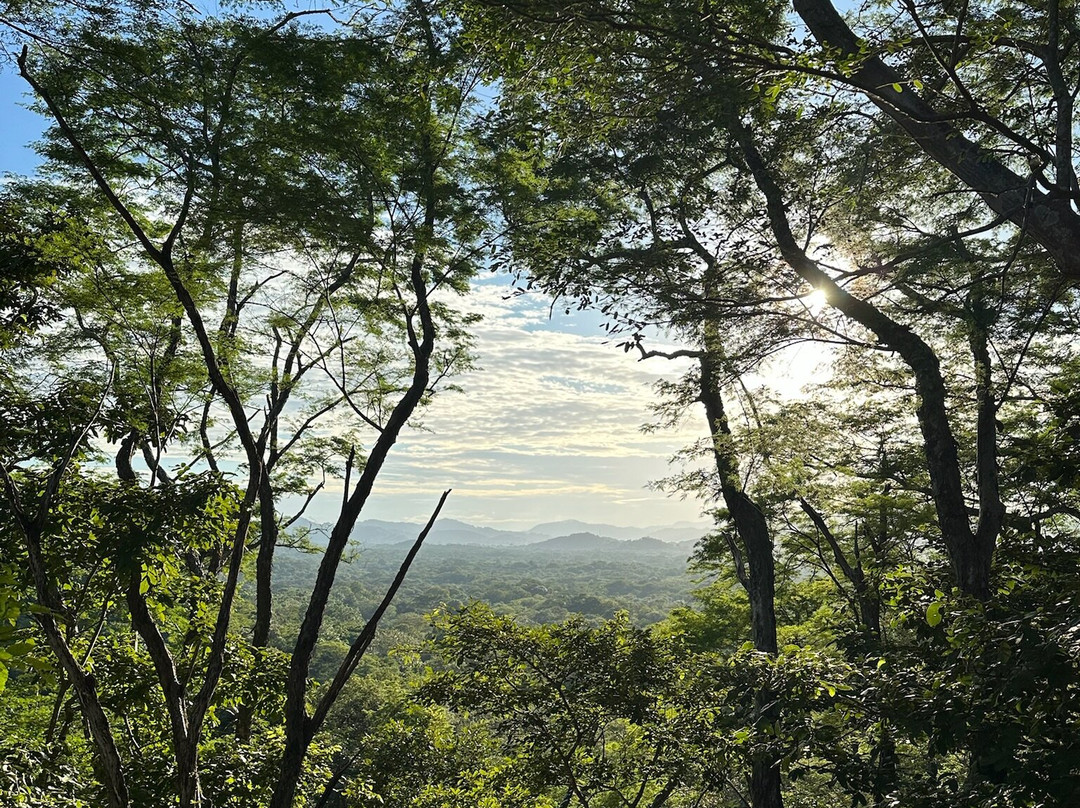 Pacific Kalokairi主图