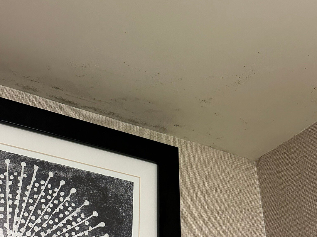 Residence Inn by Marriott Charlotte Concord主图