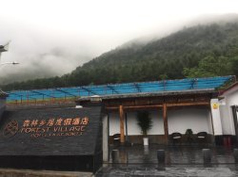 森林乡居度假酒店主图