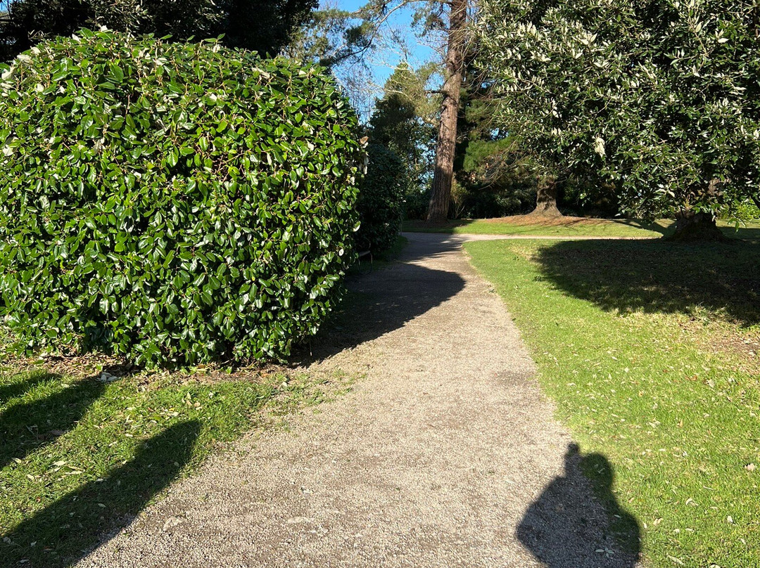 Saltram Gardens (National Trust)景点图片
