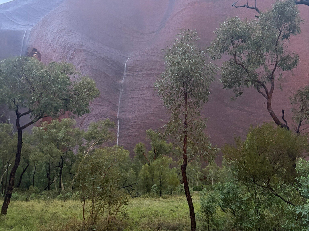 Uluru Segway Tours-乌鲁鲁-卡塔丘塔国家公园必去景点