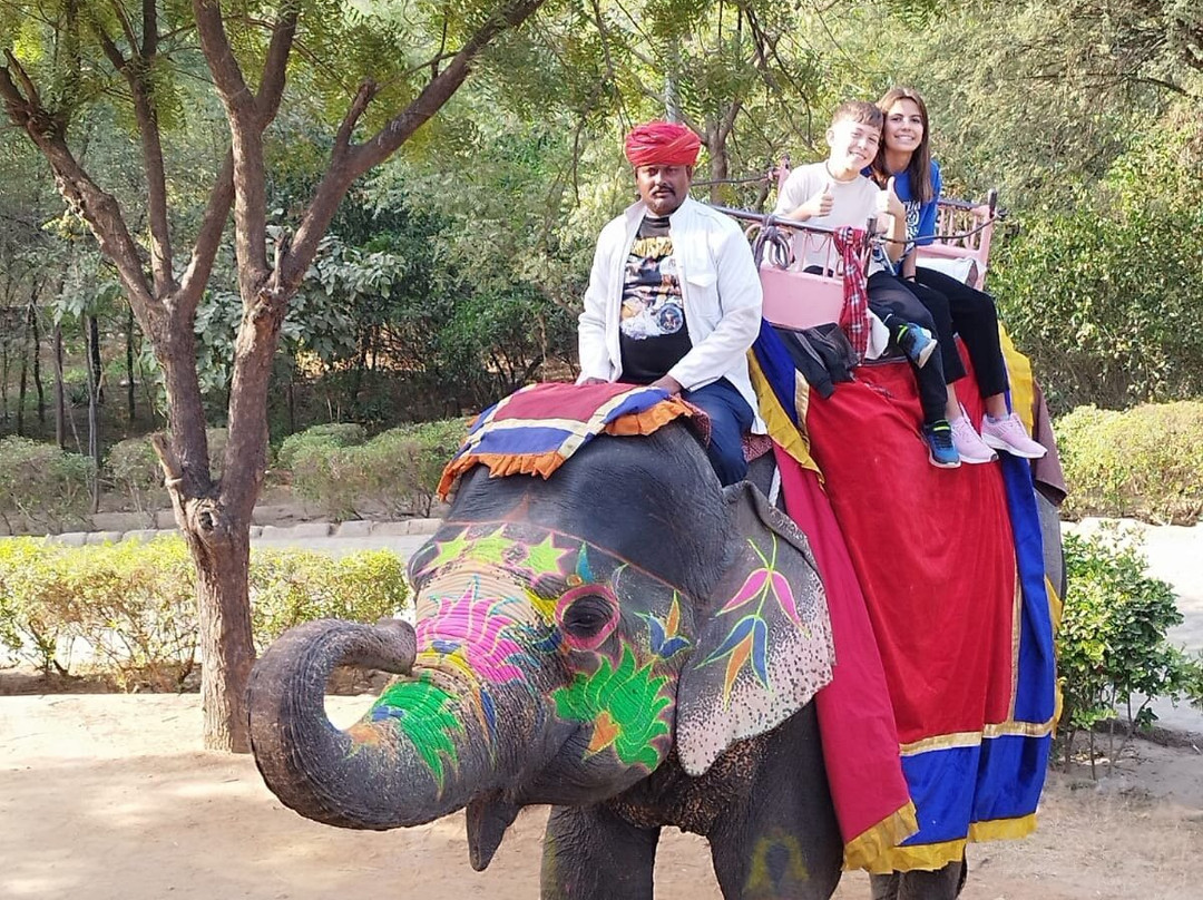 Amer Elephant Safari景点图片