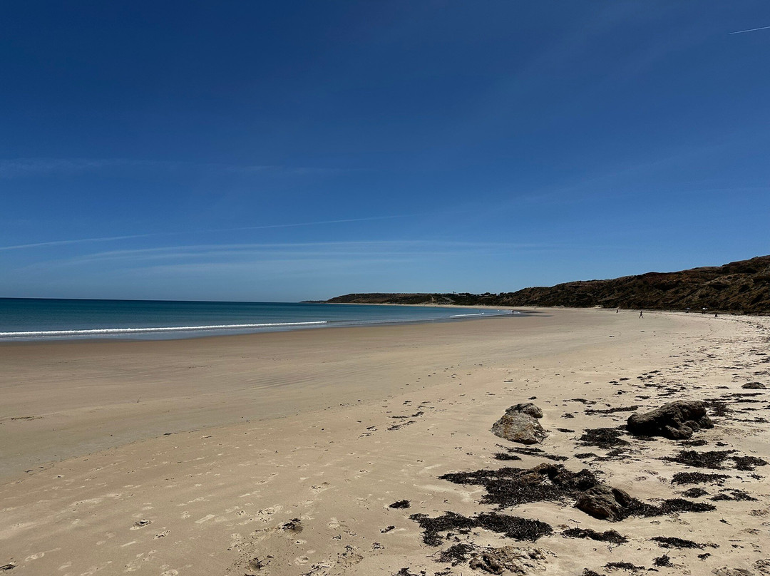 Maslin Beach景点图片