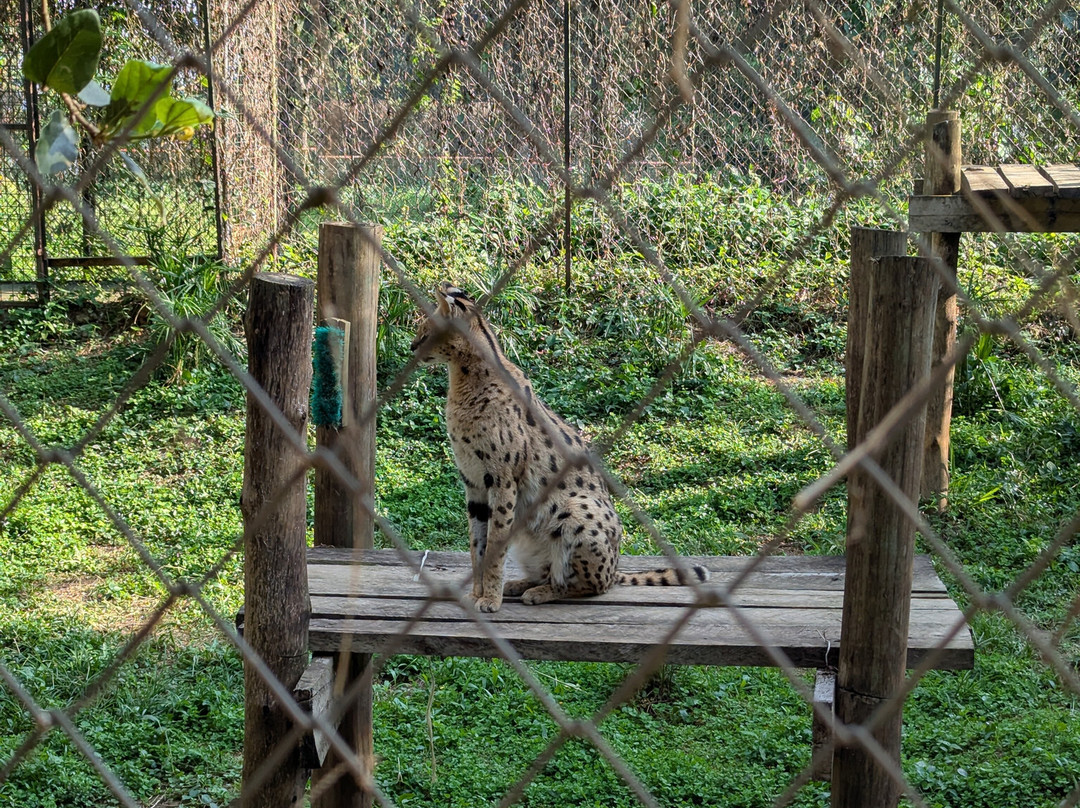 Entebbe Zoo-恩德培必去景点