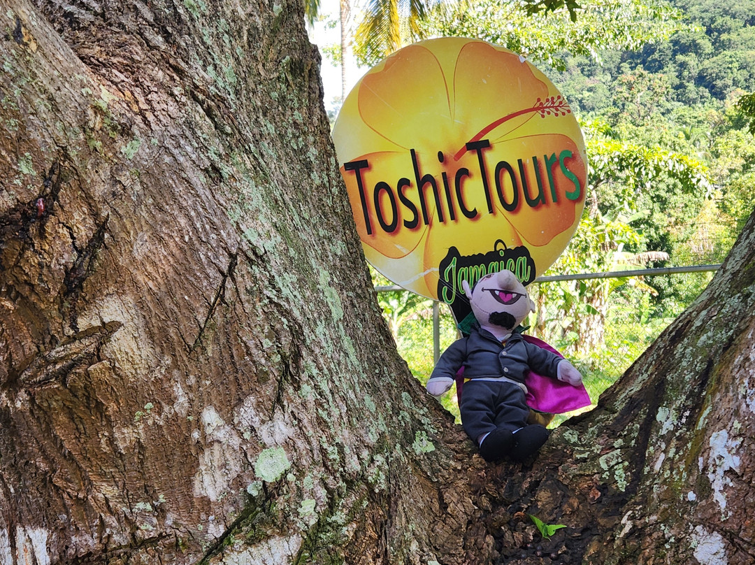 Toshic Tours-蒙特戈贝必去景点
