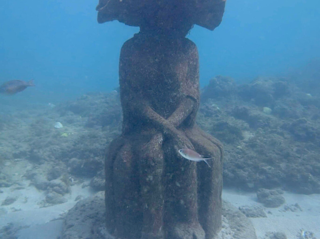 Eco Dive-St. George's必去景点