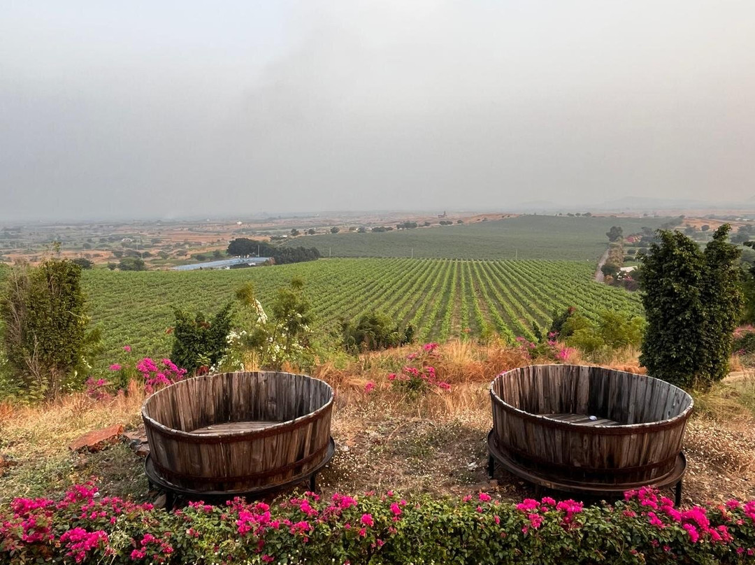 Fratelli Wines主图