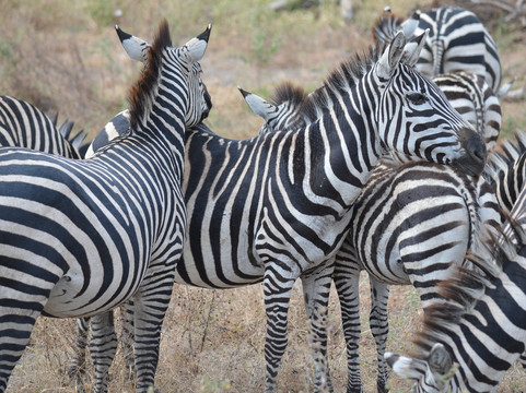 Akshar Tours And Safaris-姆万扎必去景点