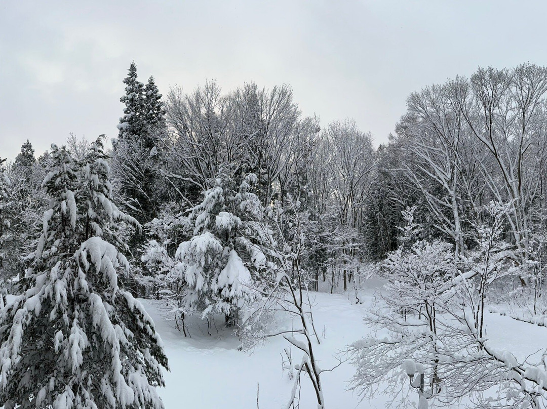 白马东急饭店主图