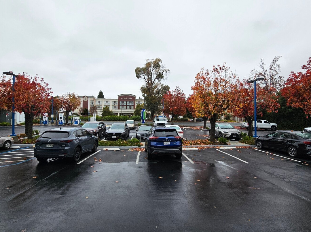 Holiday Inn Express Sunnyvale - Silicon Valley By IHG主图