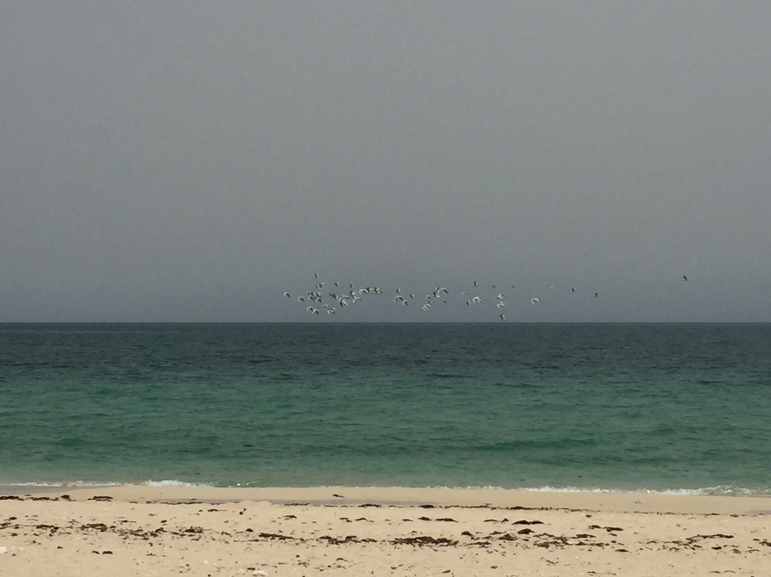 Tala Inn Premiere主图