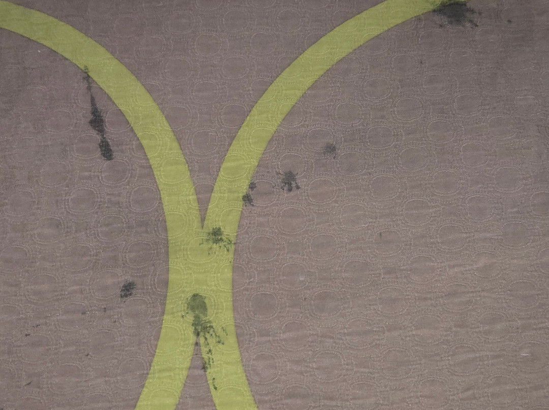 Super 8 by Wyndham Poplar Bluff Missouri主图