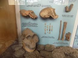 Old Boma Museum-阿鲁沙必去景点