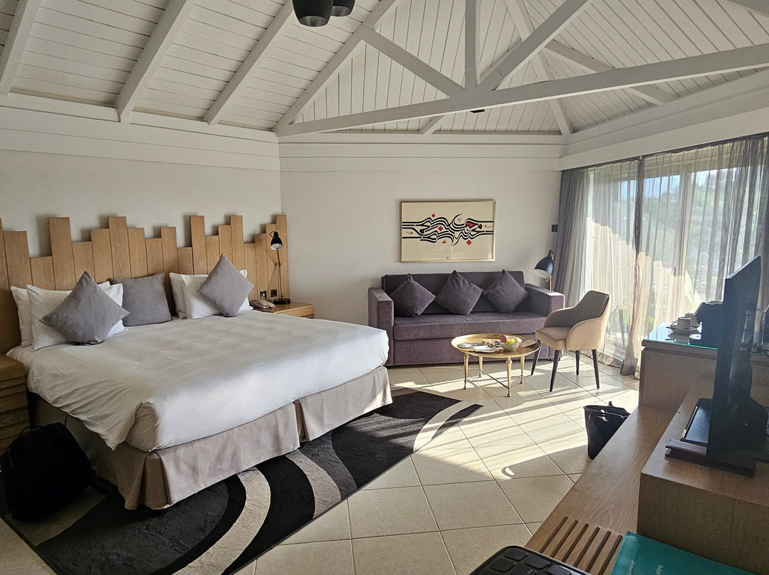 哈塔城堡酒店主图