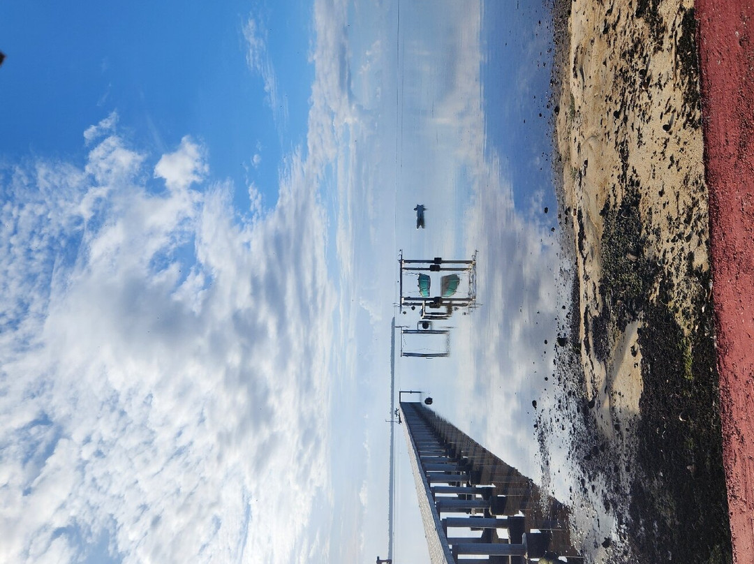 Pension Teheimana主图