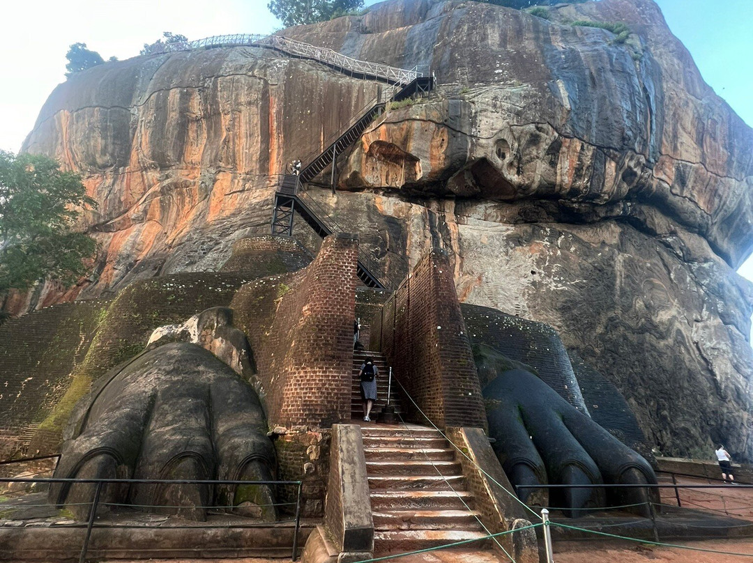Green Island Tours-拜蒂克洛必去景点