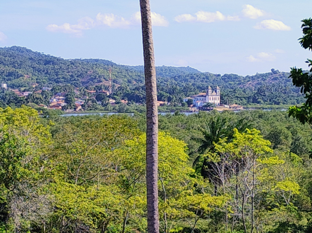 Fazenda Cassinum景点图片