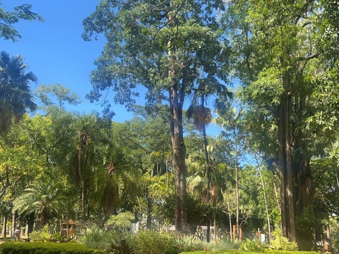 Jardin de l'Etat景点图片