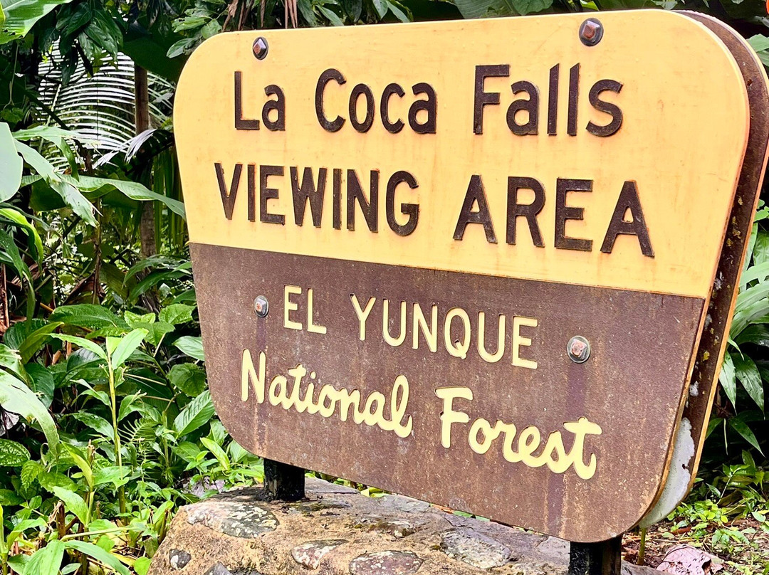 Catarata La Coca-云盖国家森林公园必去景点