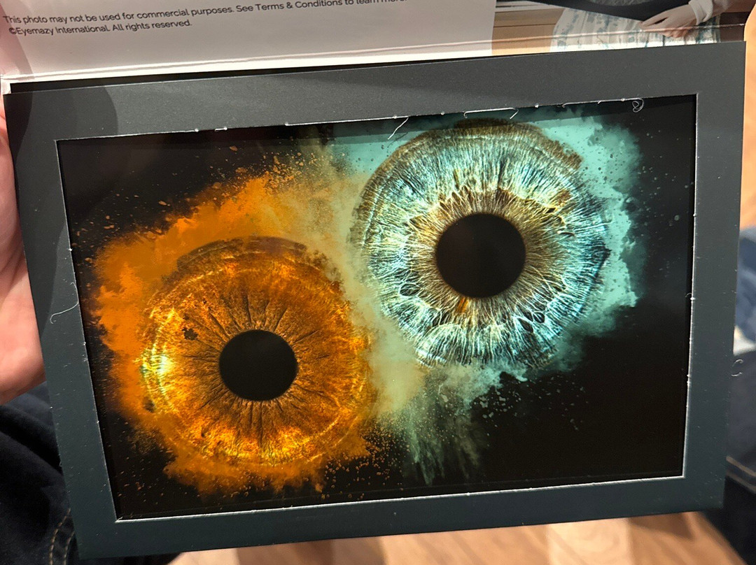 Eyemazy Amsterdam景点图片