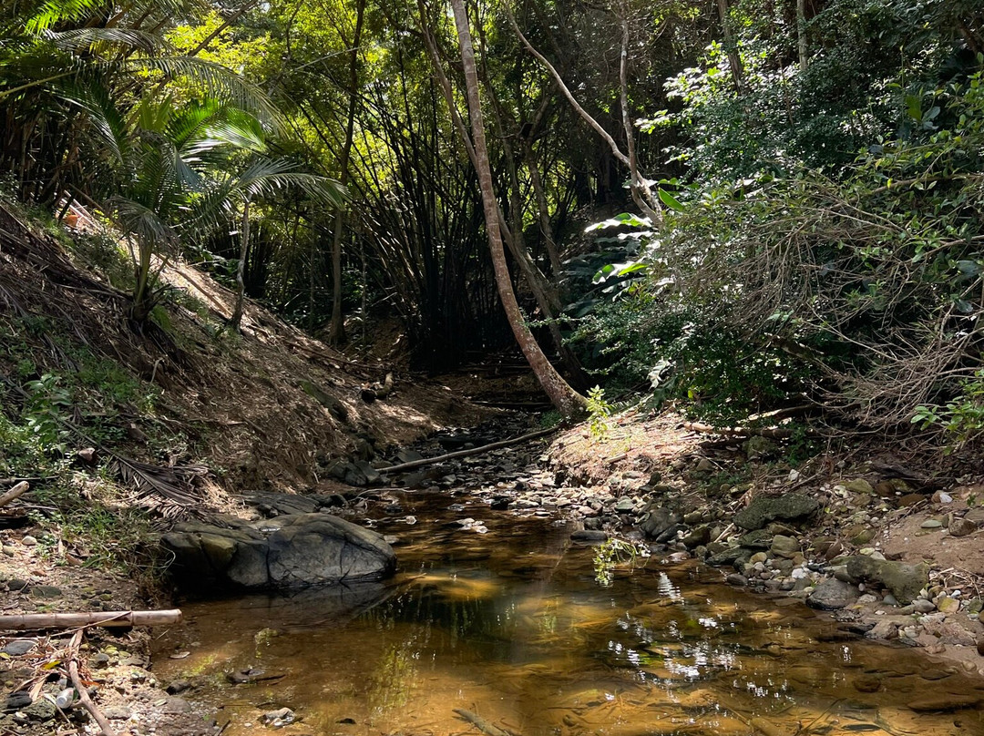 White Rock Bay Trail-Castara必去景点