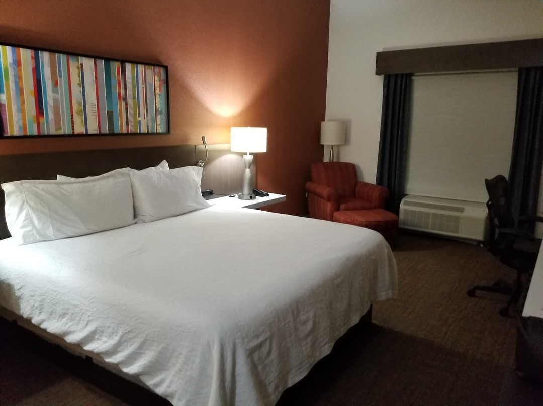 芝加哥/廷利公园希尔顿花园旅馆主图