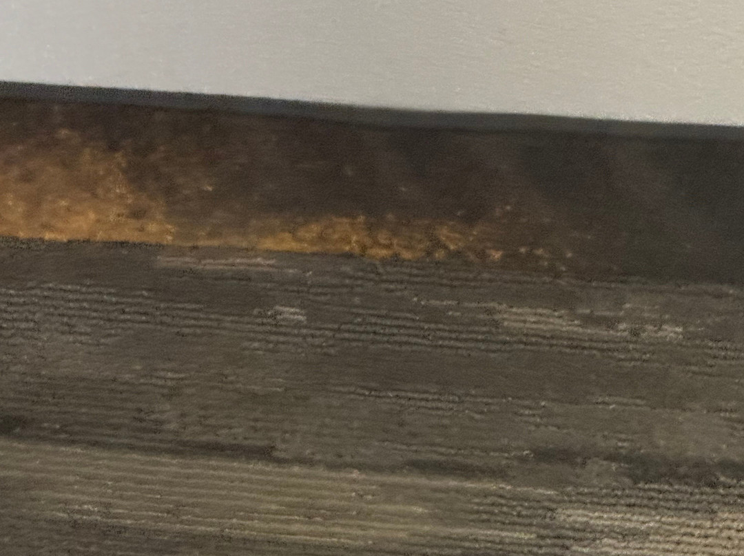 博卡拉顿希尔顿花园酒店主图