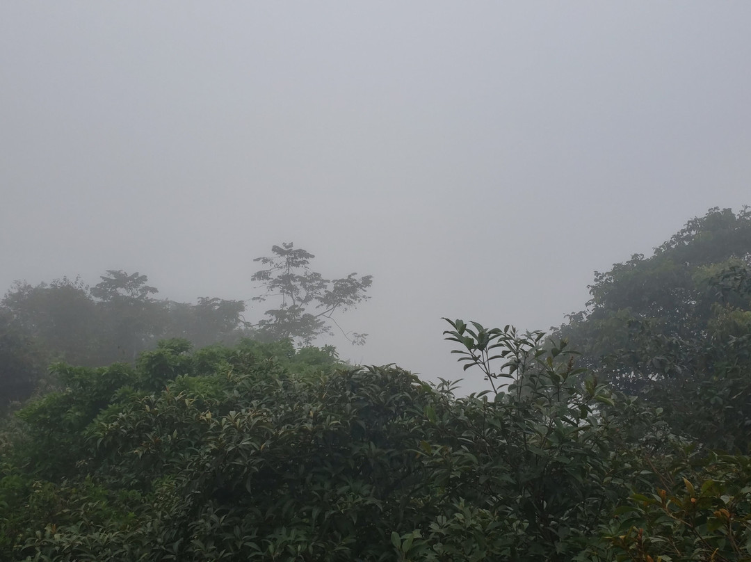 Ipe Park-Sao Benedito必去景点