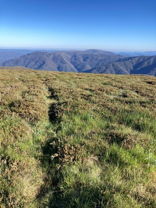 Mount Buller Ski & Snowboard-Mount Buller必去景点