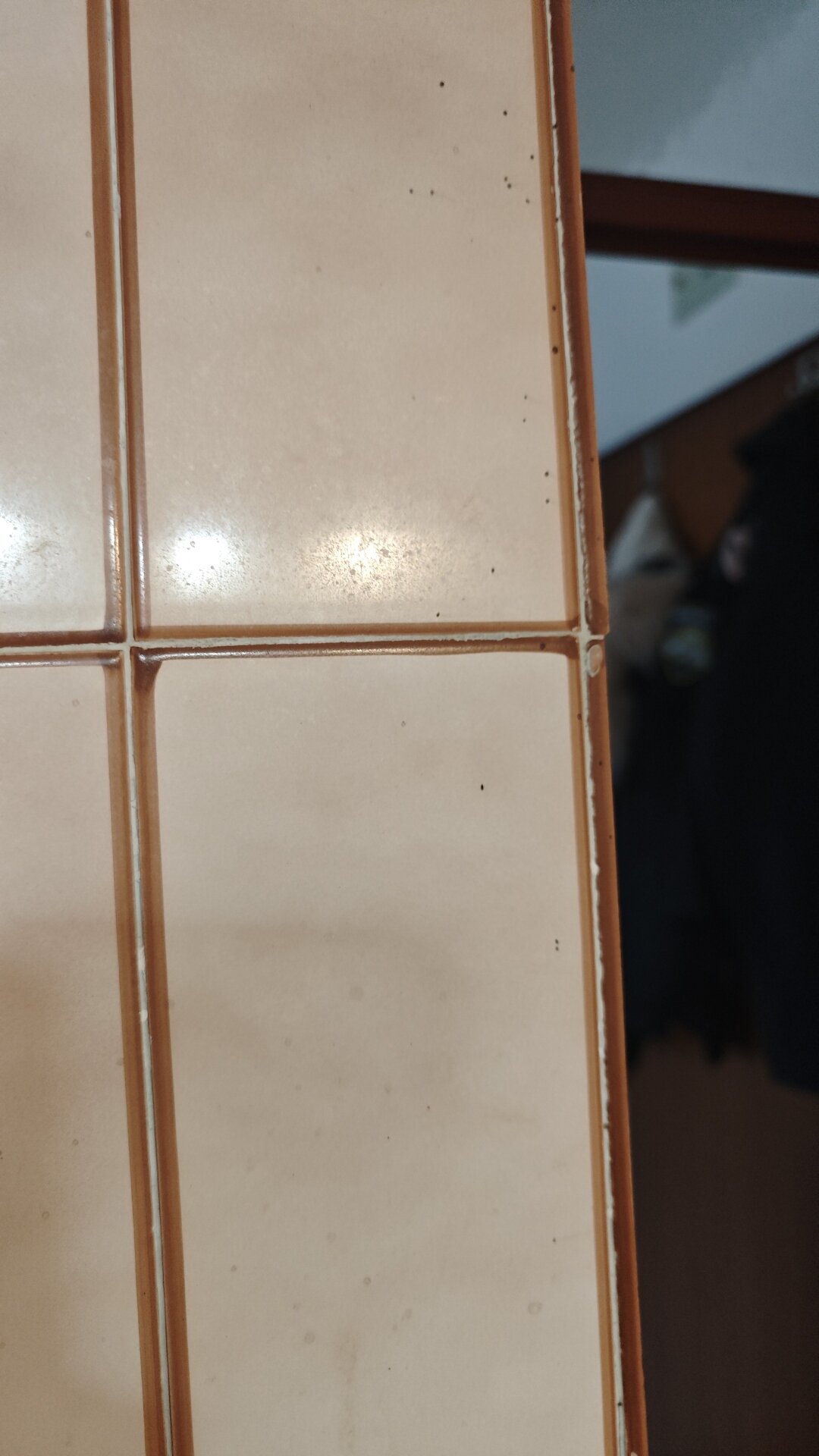 Hotel Top-Terme Topusko-官方