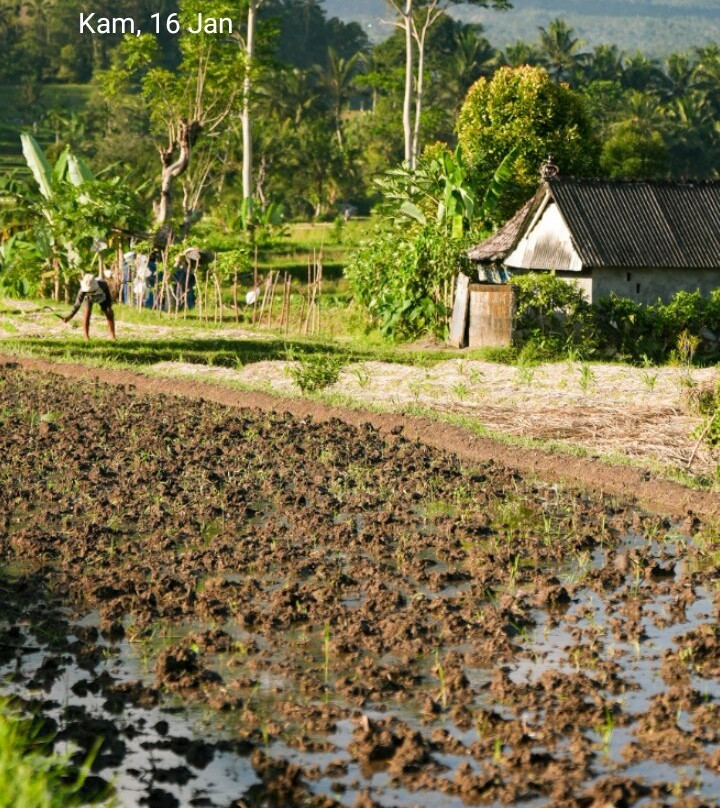 Darya Sidemen Trekking-席德门必去景点