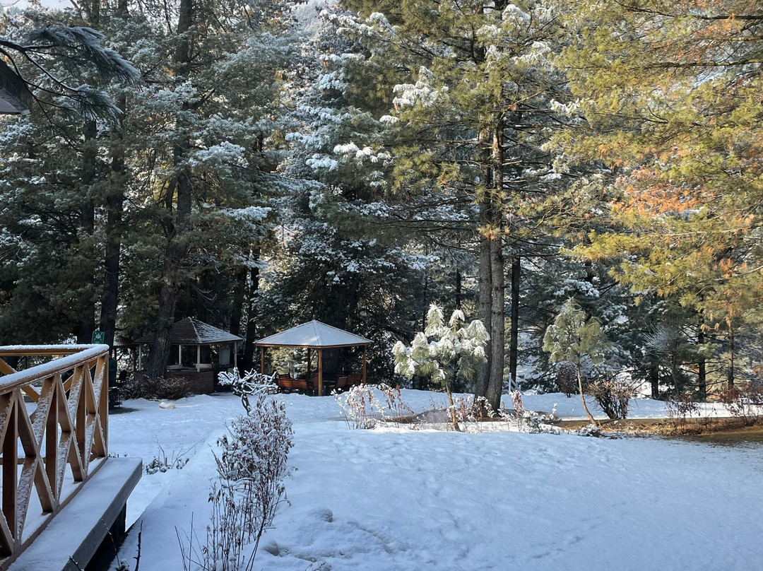 Welcomhotel By Itc Hotels, Pine N Peak主图