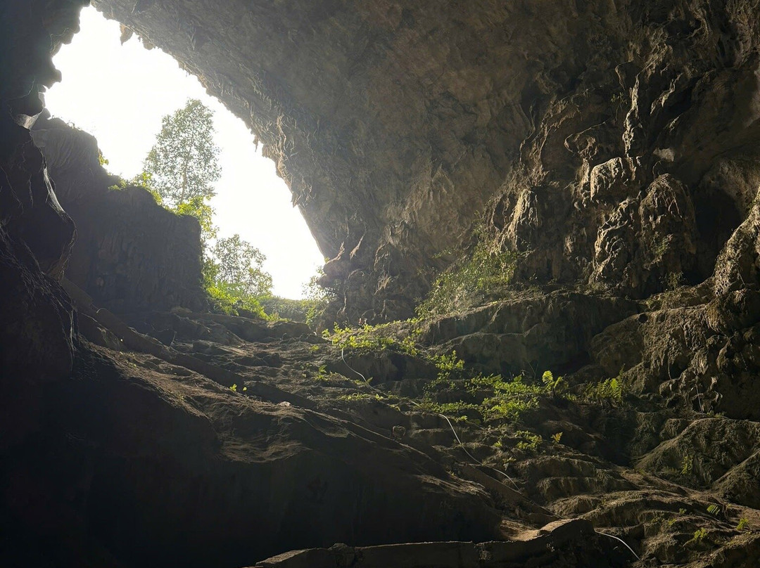 Pu Luong Nature Reserve景点图片