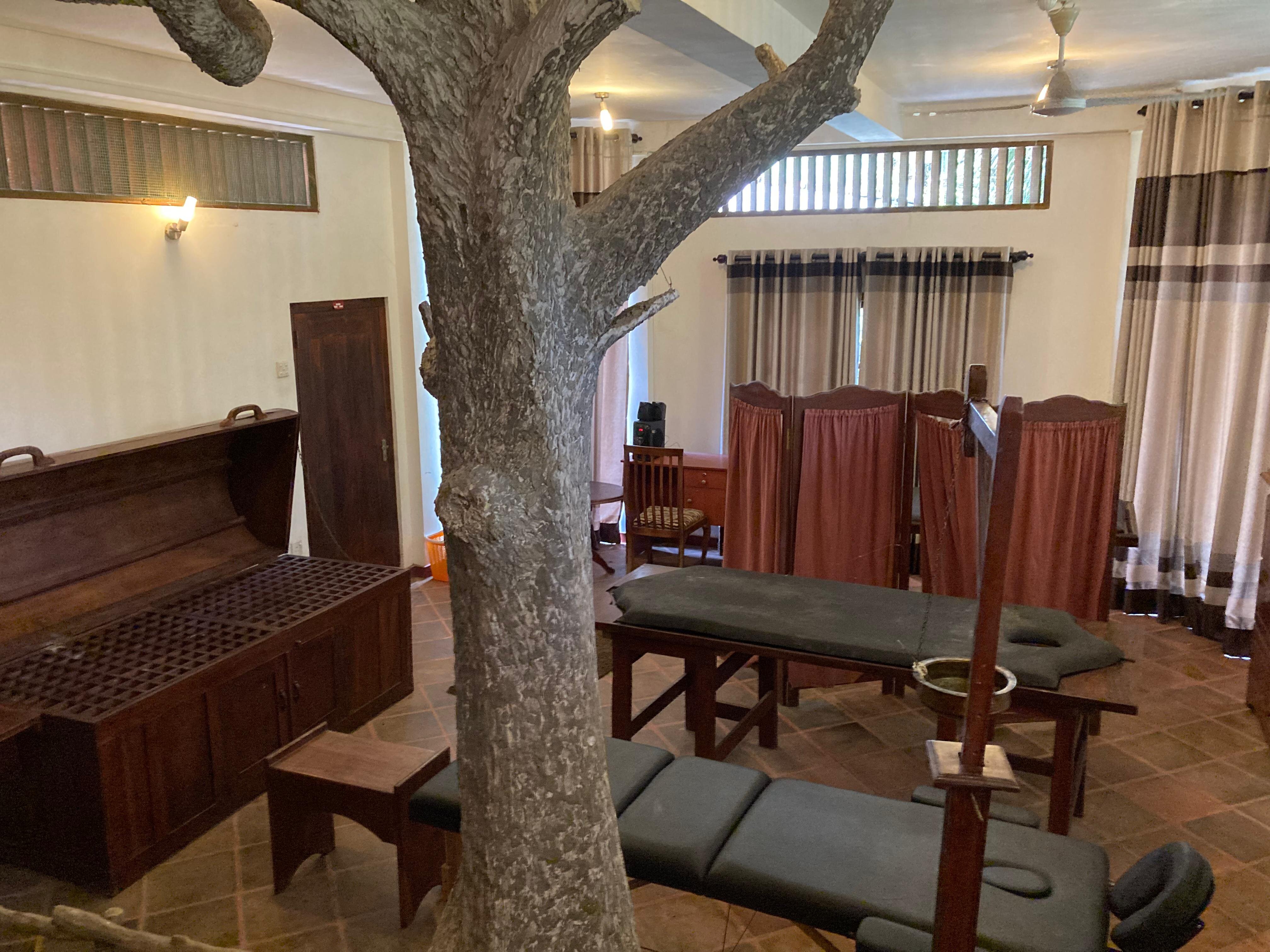 Rainforest Lodge-官方