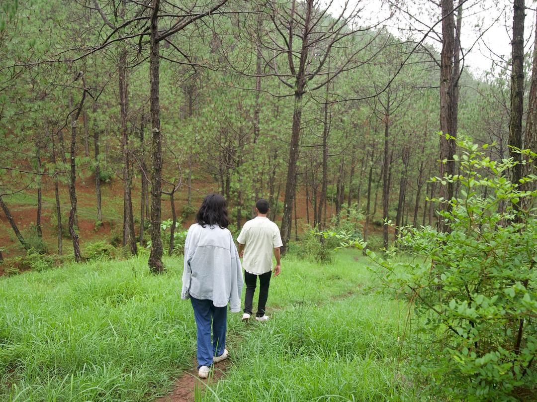 Tethys Himalaya主图