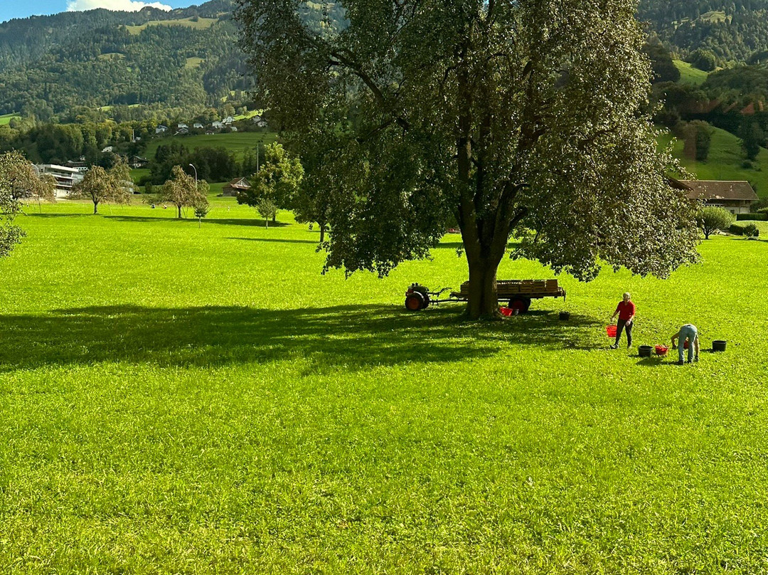 Lake Sarnen-Sarnen必去景点