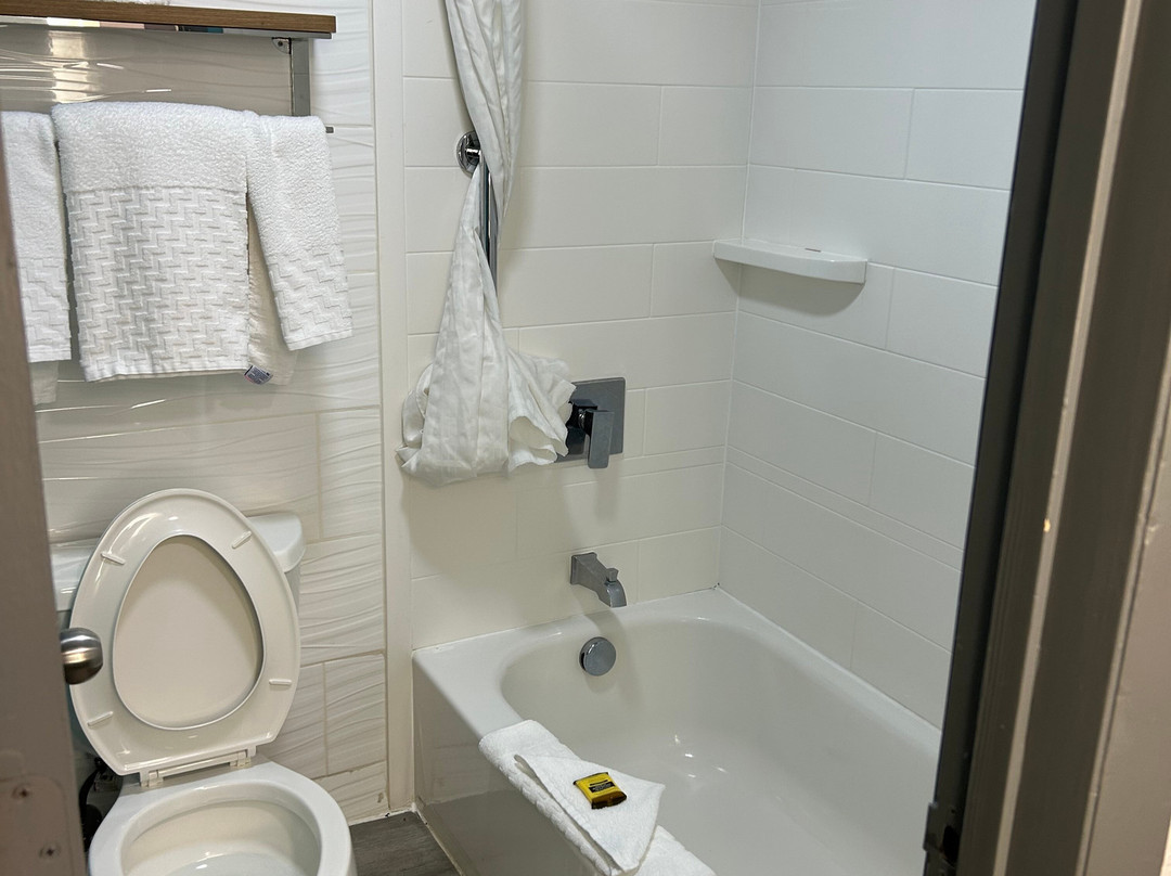 Best Western Plus Executive Hotel主图